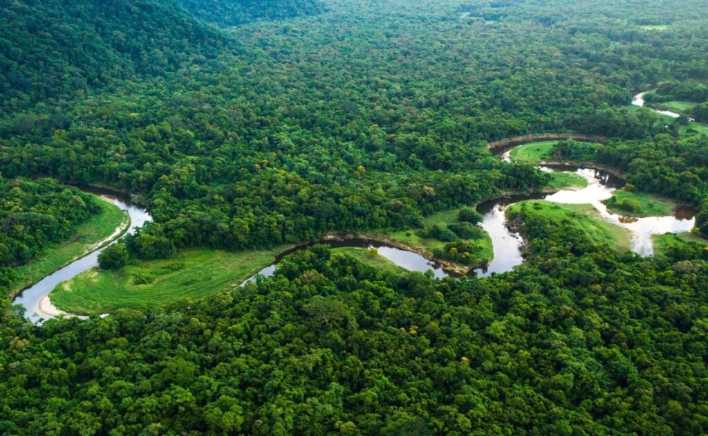Best time to visit the Amazon rainforest in Brazil