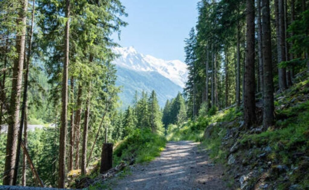Hike along the Grand Balcon Sud