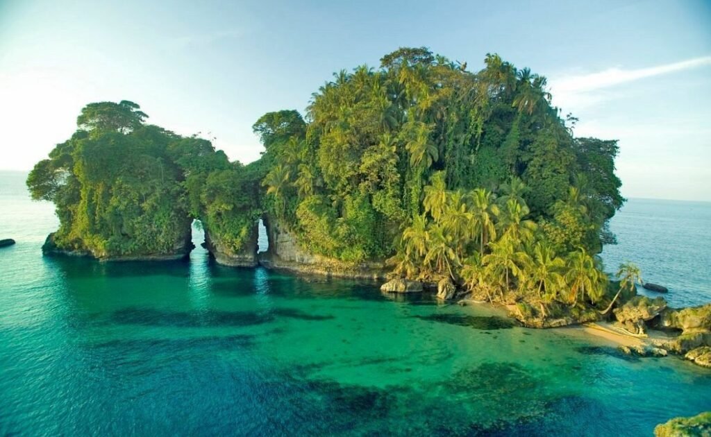 Isla de los Pájaros & plankton