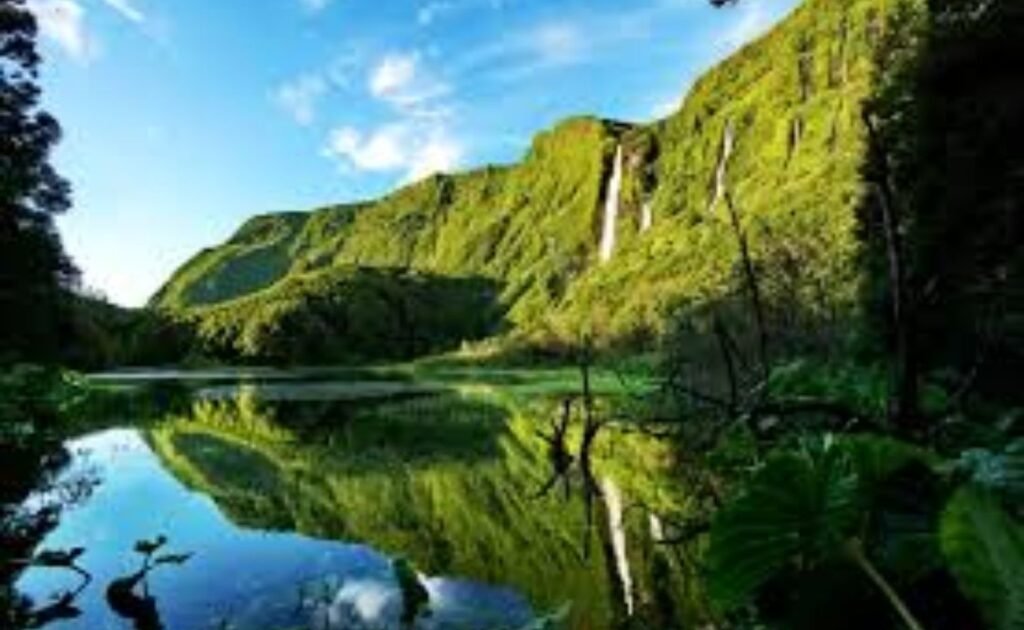 Marvel at Poço da Ribeira do Ferreiro waterfalls