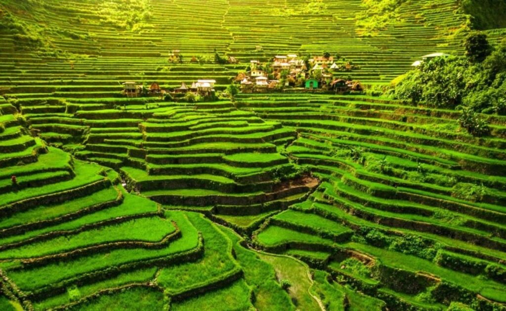 Banaue