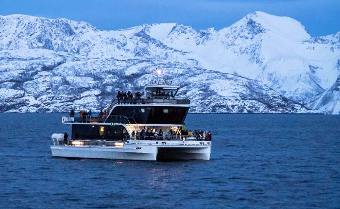 Whale Watching Tromsø Best Time, Tours & Complete Guide (2026)